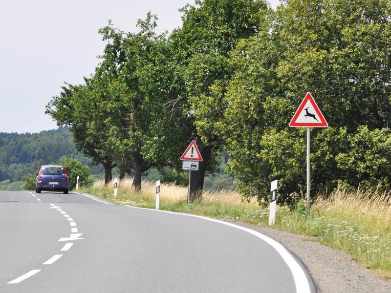Bild wildwechsel-warnschild-reh-landstrasse-sommer.jpg